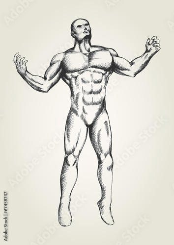 images Muscle Man Drawing https stock adobe com images sketch of muscular man with open arms looking up 67459747 start checkout 1 content id 67459747