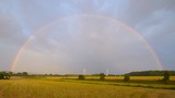 Fototapeta Tęcza - Regenbogen über Feldern
