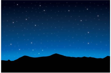 Wall Mural - night landscape