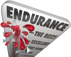 Endurance Measurement Highest Best Survival Skills Stamina Power
