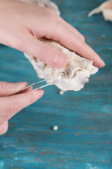 Wall Mural - Hand with tweezers holding pearl and oyster on wooden