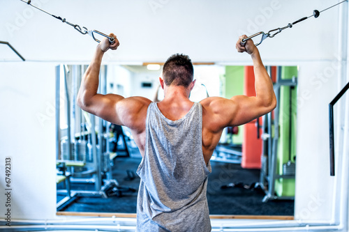 Fotomural Bodybuilder working out the biceps in the gym. Sports concept