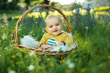 Wall Mural - small smiling childin sitting in a basket