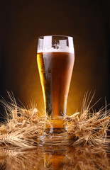 Poster - Glass of beer with barley ears