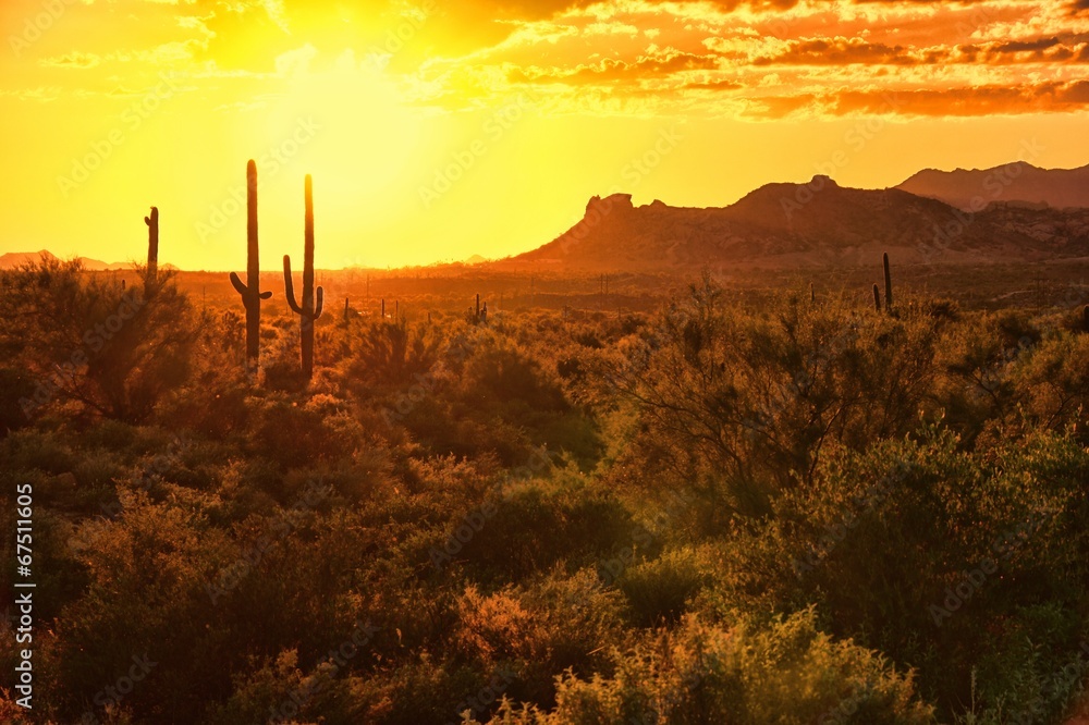 Sunset View Of The Arizona Desert With Cacti And Mountains Wall Mural Jenifoto