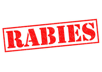 Wall Mural - RABIES