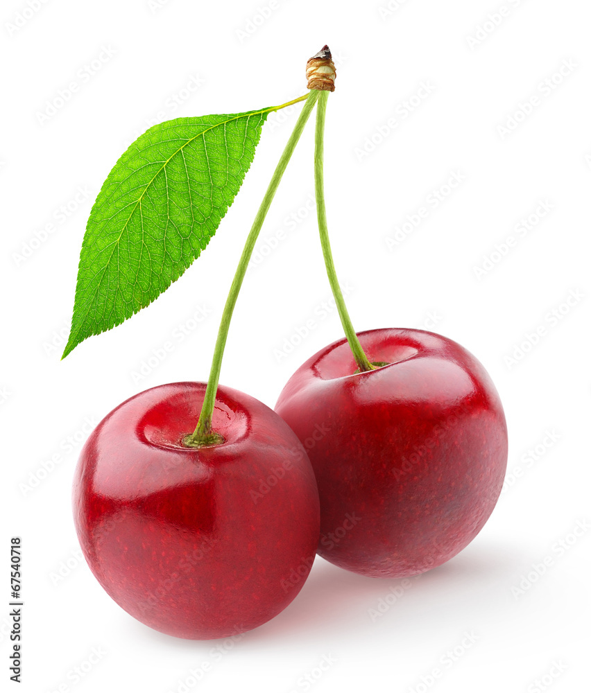 Isolated cherries. Pair of sweet cherry fruits with stems and leaf  