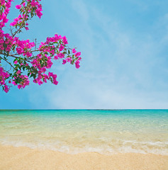 flowers by the sea