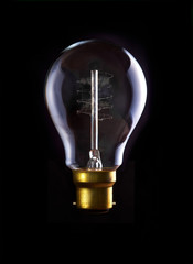 Edison Lightbulb