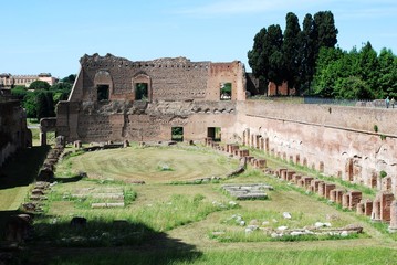 Wall Mural - Ruins of the old and beautiful city Rome