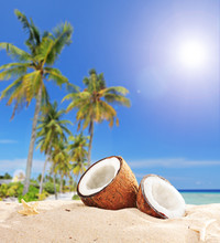 Sliced Coconut On A Tropical Beach By The Ocean