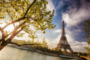  Eiffel Tower with boat on Seine in Paris, France