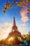 Fototapeta  - Eiffel Tower against sunrise in Paris, France