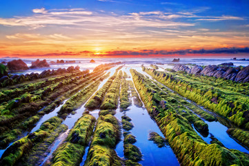 Wall Mural - sunset at barrika coast with rocks and moss