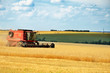 © Tanya Rusanova - red combine harvests wheat in a field