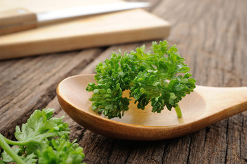 Wall Mural - parsley