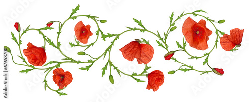Naklejka dekoracyjna red poppy flower ornament strip isolated on white
