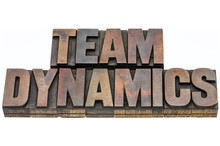 Team Dynamics In Wood Type