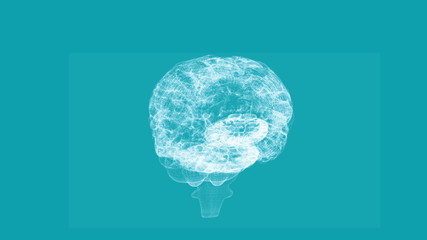 Aufkleber - Revolving transparent human brain graphic
