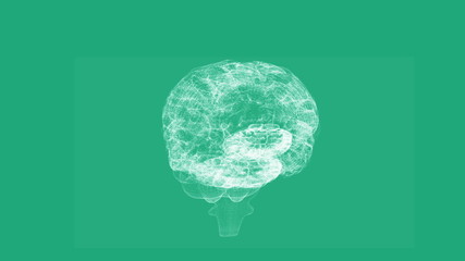 Aufkleber - Revolving transparent human brain graphic