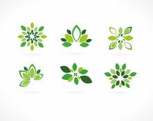 Stylized Vector - Green Leaves