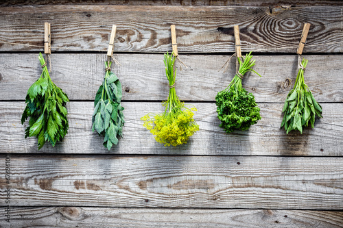 Tapeta ścienna na wymiar Herbs hanging over wooden background