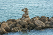 Statua Sirena, Taranto