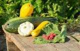 Fototapeta Kuchnia - Kompozycja z warzyw i owoców z domowego ogrodu