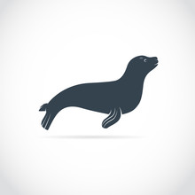 Vector Images Of Sea Lion