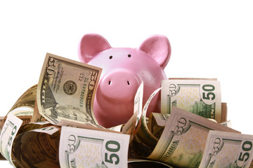 Wall Mural - piggy bank standing on dollars