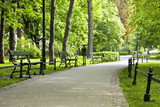 Fototapeta  - Bench in green park