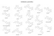 Structural chemical formulas of antibiotic penicillins