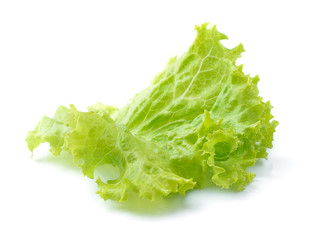 Lettuce isolated on white background