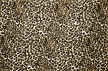 Leopard Print