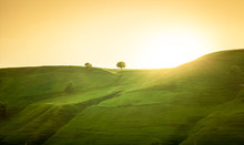Landscape Of Green Hills At Sunrise