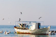 Fishing Boat And The Fisherman Surrounded By Seagulls And Pelica