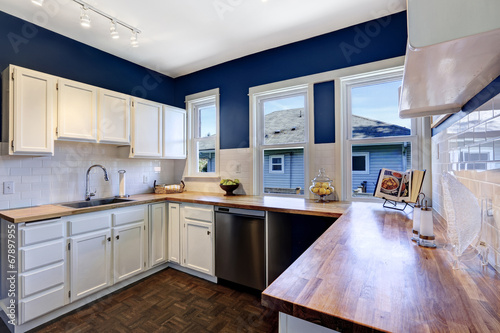 Fotografia, Obraz Kitchen interior in bright navy and white colors