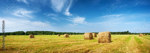 Canvas Print Hay bales with blue sky