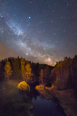 Wall Mural - starry night over a small forest river