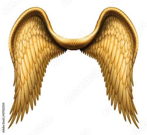 Obraz na plátně Golden Angel Wings isolated against white background