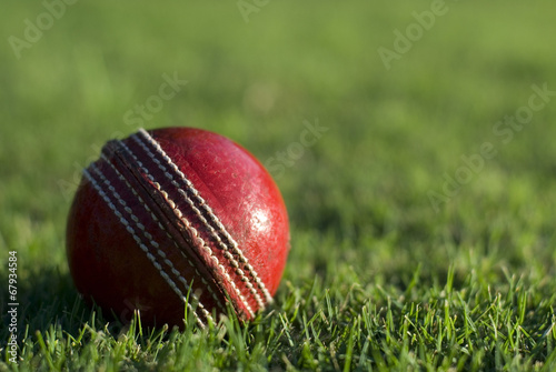 Fotografía Red cricket ball on green grass