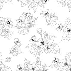 Wall Mural - Seamless pattern, apple tree flowers contours