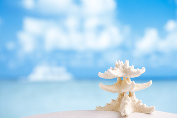 Wall Mural - white starfish with ocean, beach, sky and seascape, shallow dof