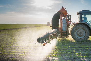 Wall Mural - tractor spraying pesticides