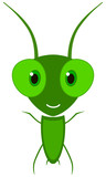 Fototapeta Dinusie - a happy little grasshopper