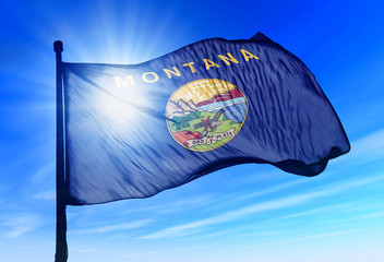 Wall Mural - Montana (USA) flag waving on the wind