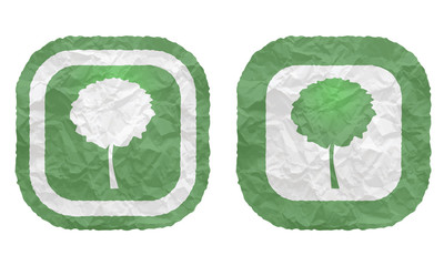 two frames with texture crumpled paper and tree