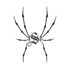 spiderweb theme