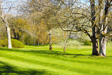 Canvas Print - Beautiful spring landscape