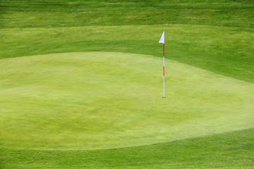 Canvas Print - Golf flag on the green grass